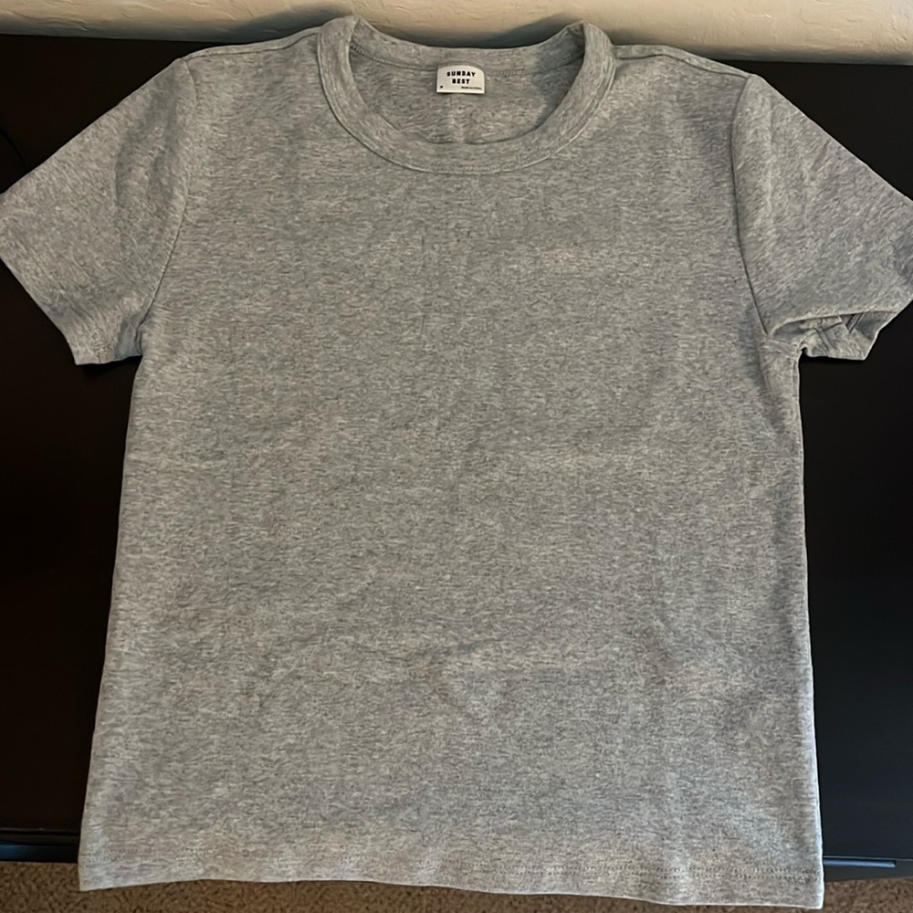 Aritzia Sunday Best Little Ribbed T-Shirt